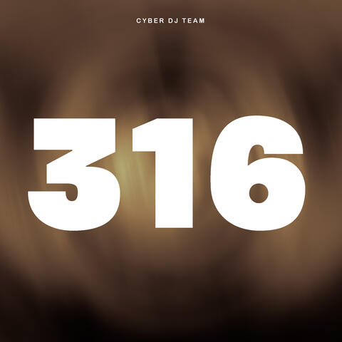 316