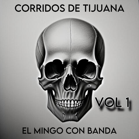 El Mingo Con Banda, Vol. 1