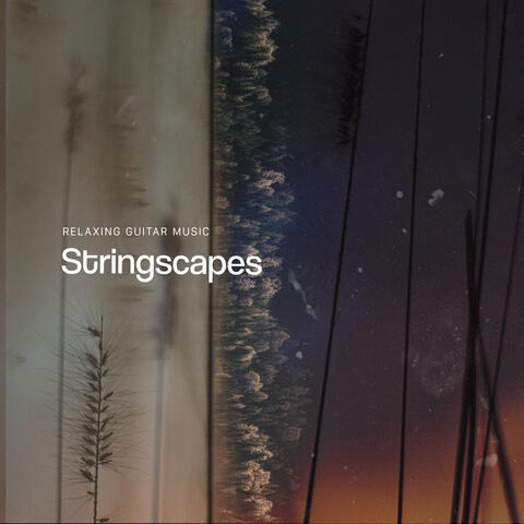 Stringscapes
