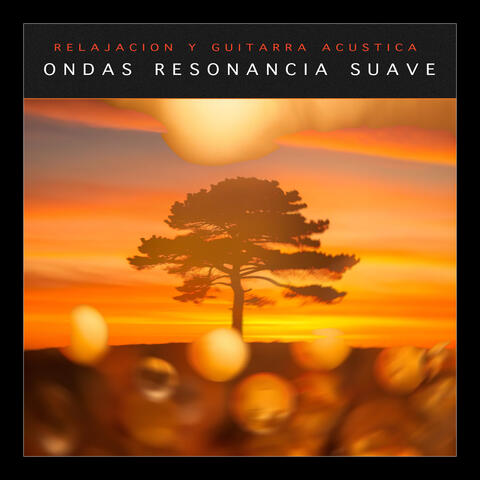 Ondas Resonancia Suave