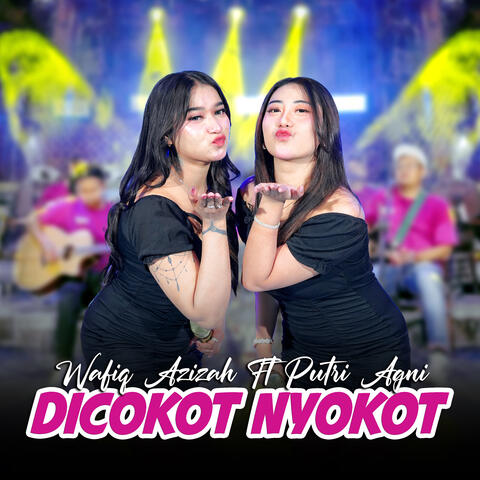 Dicokot Nyokot