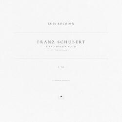 Piano Sonata No. 21 in B-Flat Major, D. 960: II. Andante sostenuto