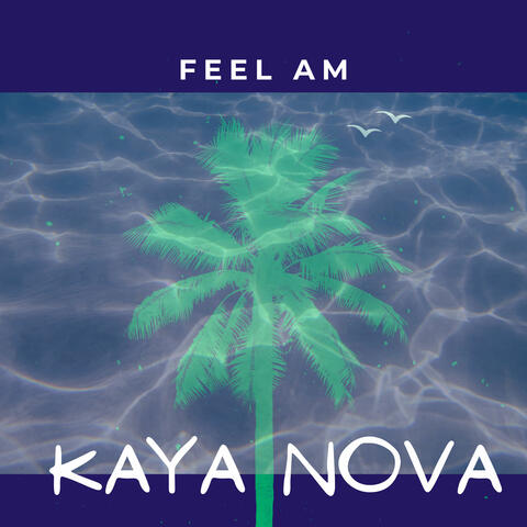 Feel Am