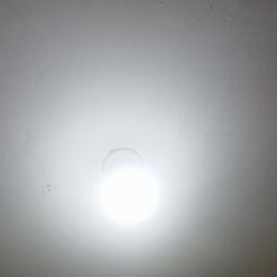 Tidurlah, kucing kecilku