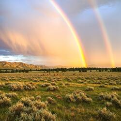 After a storm comes a calm