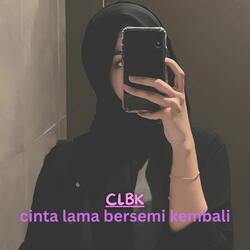CLBK cinta lama bersemi kembali