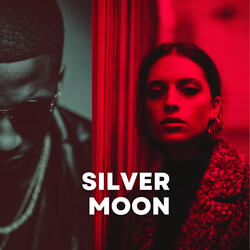 Silver Moon