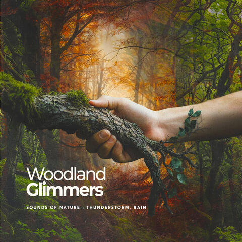 Woodland Glimmers