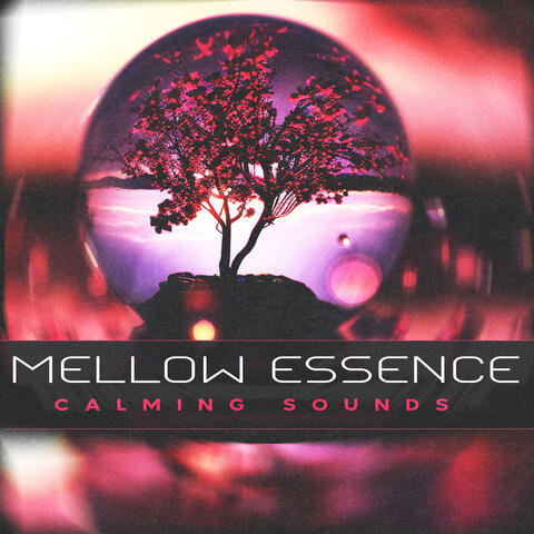 Mellow Essence