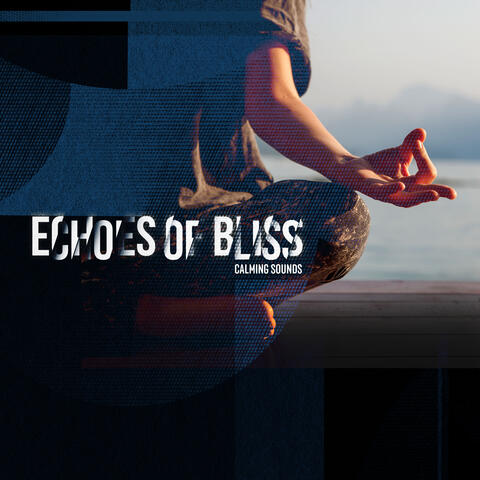 Echoes of Bliss