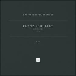 Rosamunde, D. 797: Overture