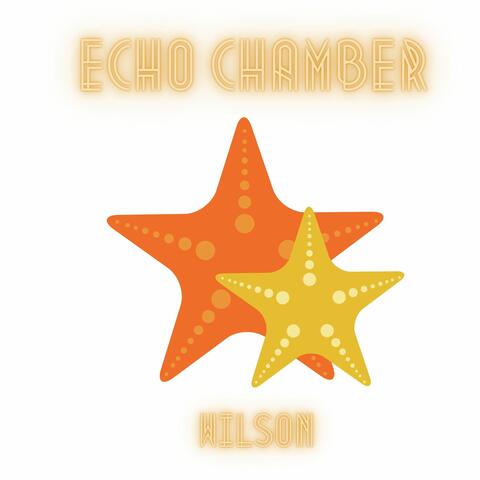 Echo Chamber