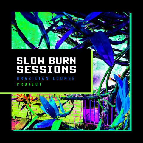 Slow Burn Sessions