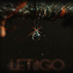 LETitGO