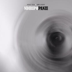 Ndiripo Panze