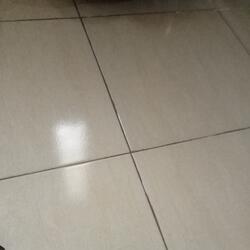 Aku yang setia