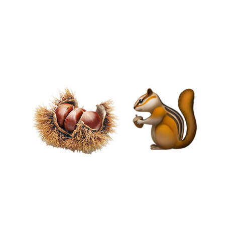 クリトリス