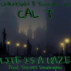 Life Is A Haze