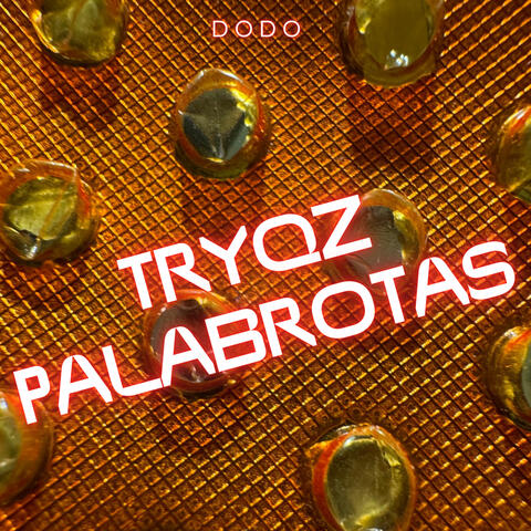 TRYQZ PALABROTAS