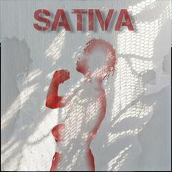 Sativa