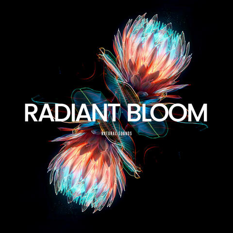 Radiant Bloom