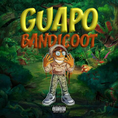 Guapo Bandicoot