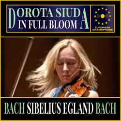Sibelius: Suite for Violin and Strings, in D Minor, Op. 117: III. In the Summer I