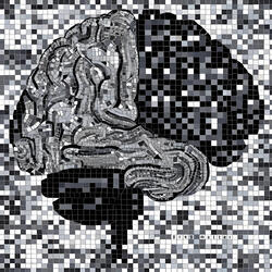 Grey Matter