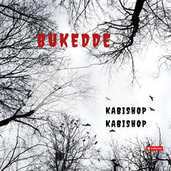 Bukedde