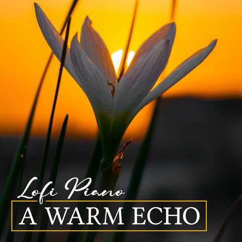 A Warm Echo