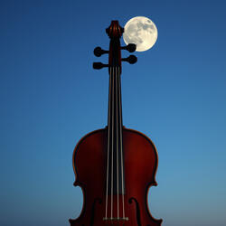 Moonlit Strings