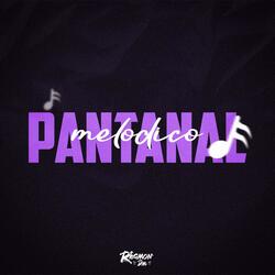 Pantanal Melodico