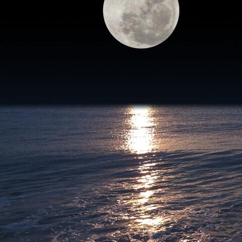 bajo la luz de la luna y frente al mar