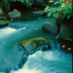 Under Standing Streams