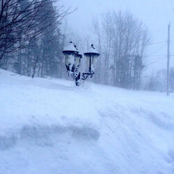 You're In My Heart(and in my dreams)