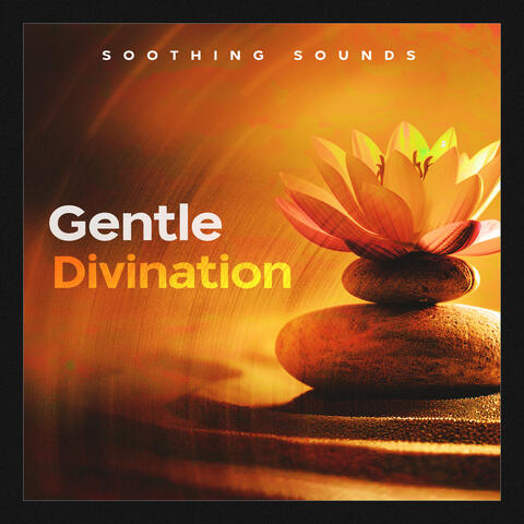 Gentle Divination