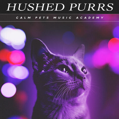 Hushed Purrs