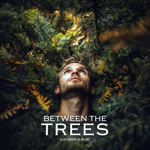 Between the Trees