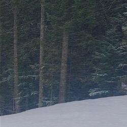 COLD
