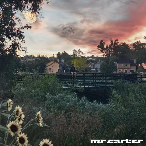 Talents Courtesy of Mr. Carter