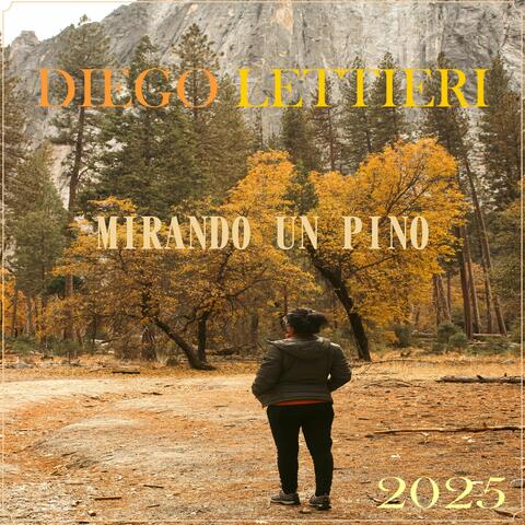 MIRANDO UN PINO  2025