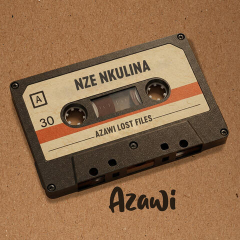 Nze Nkulina