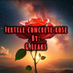 Fertile Concrete Rose