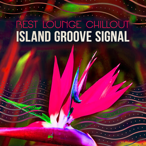 Island Groove Signal