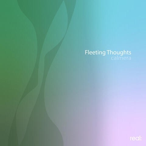 Fleeting Thoughts