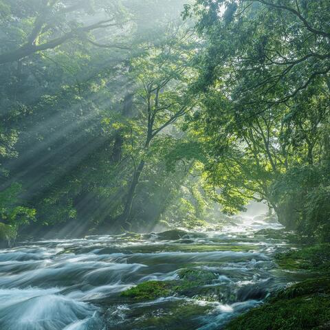 Awaking forest