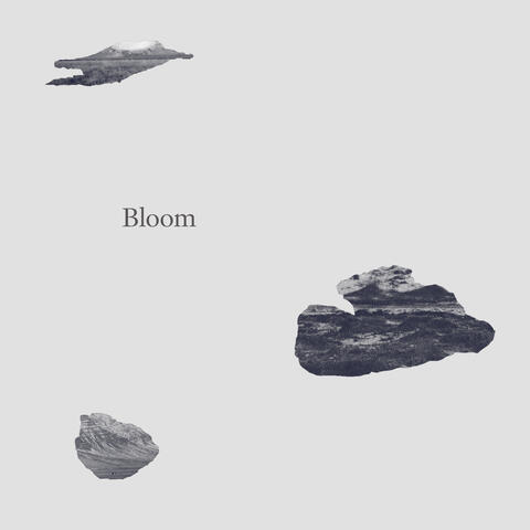 Bloom