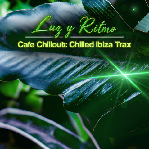 Luz y Ritmo