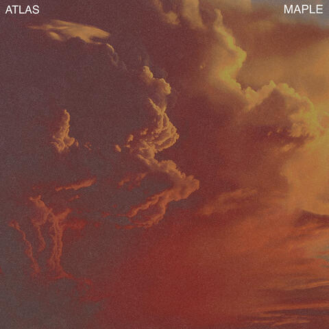 Maple