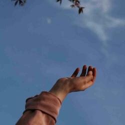 Hands Up